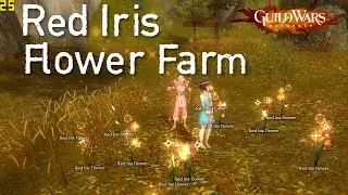 Guild Wars Reforged: Presearing Red Iris Flower Farm