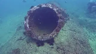Scuba diving -- Kewalo Pipe -- Oahu, Hawaii -- Dec 2025