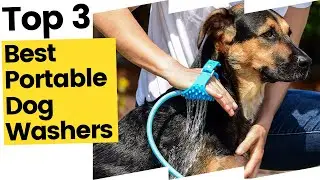 Best Portable Dog Washers Every Dog Owner Should Have in 2023