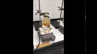 Sample Digestion
