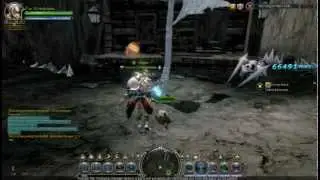 Dragon Nest Crusader Level 50 Gameplay (Apocalypse Nest)