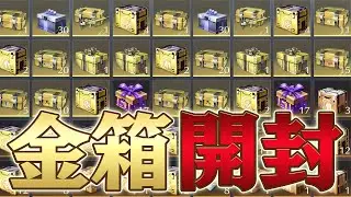 【荒野行動】倉庫に貯まってた『宝箱』全部開封してみた結果...【荒野の光】