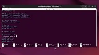 07 CONTROLLO REMOTO SSH CAT