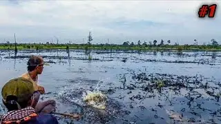 MENGERIKAN !!! SAMBARAN DAHSYAT MONSTER TOMAN DIDEPAN MATA !!! 😱😱😱
