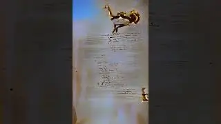 The Video of Actors' Equity contract   In addition, a number of Dutch speaking members