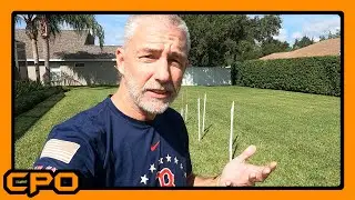 Teaching my dog to weave! Agility training with DIY weave poles