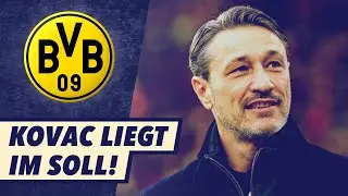 Was erwarten die Fans des BVB eigentlich?