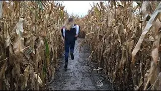 Trapped in a Muddy Corn Maze