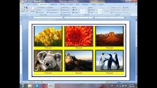 How to insert pictures in MS Word table