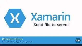 Send file to server via web API