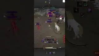BDO succ ninja montage #bdo #ninja #nodewar #pvp #gaming