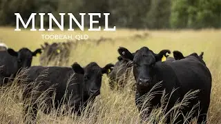 ‘Minnel’, Toobeah, Qld