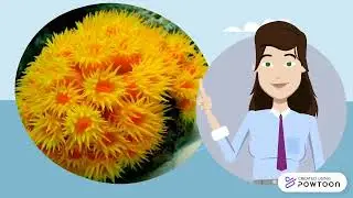 ESP&Eacute;CIES INVASORAS: BIOINVAS&Atilde;O DO CORAL-SOL