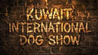 KUWAIT INTERNATIONAL DOGS SHOW 2025 #XDOGSCHOOL #KUWAIT #التوره #DOGS #DOG 