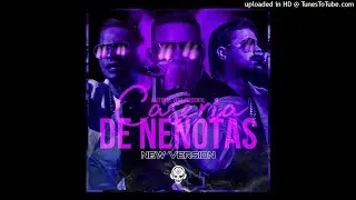 Caseria de Nenotas - Plan B & Daddy Yankee