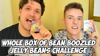 Whole Box Of Bean Boozled Jelly Beans Challenge | WheresMyChallenge