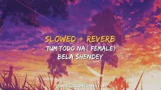Tum Todo Na (Female) [ SLOWED + REVERB ] || Bela Shendey , Ash King || Lyrics