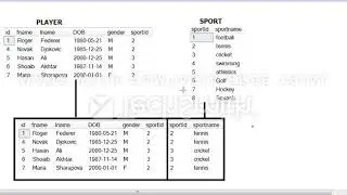 4   SQL SCRIPT    Querying Multiple Tables By Joining Them