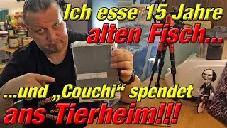 Fisch 15 Jahre alt essen | Couchi spendet dem Tierheim Geld | Abgelaufenes Essen #wastingfood