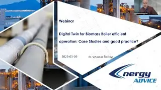 Digital Twin for Biomass Boiler efficient operation: Case studies and good practice