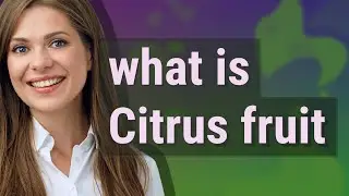 Citrus fruit | meaning of Citrus fruit