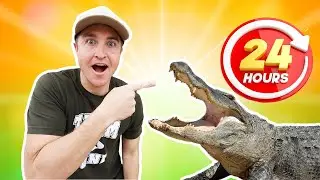 A Day In My Life Caring For All My Animals in 24 Hours!