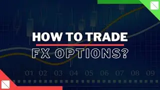 How to Trade FX Options with IQ Option