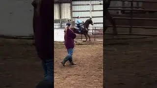 SBR Irish (adopted) Jan 2026 riding