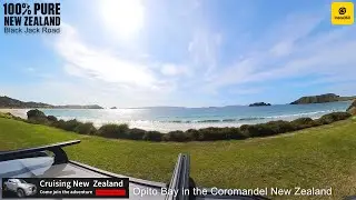 The Secret Paradise of Opito Bay, New Zealand