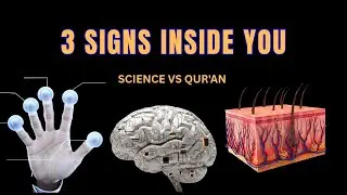 3 Scientific Miracles Hidden Inside Your Body! 