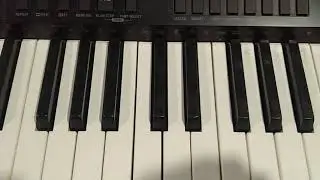 Ready Keyboard CASIO CTK 7000