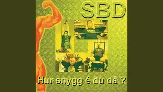 Hur Snygg &Eacute; Du D&aring;?