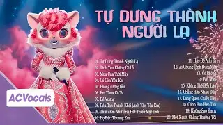 Ta Cố Giấu Nước Mắt Để Qua Mặt Duyên Phận... Tự Dưng Thành Người Lạ | Top Ballad Ca Sĩ Giấu Mặt