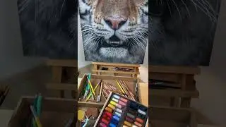 HYPERREALISTIC TIGER DRAWING - PASTELS #art #hyperrealism #drawing #sketch #artist