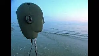 danm,,,,,