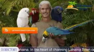 Best Western Pioneer Inn - Lahaina Hotels, Hawaii