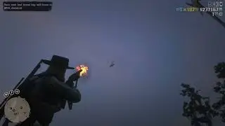 RDR2- Egret surprise in camp