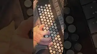 Hey, Sokoly &ndash; Ukrainian Polish Folk Song | Accordion Cover 🎶