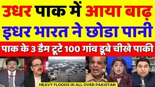 Pak Media Crying Heavy Floods In Pakistan As India Releases Water | Pak Reacts