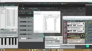 Propellerhead Rebirth in Reaper  (Rewire) First try