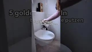 5 goldene Regeln beim Toilette putzen