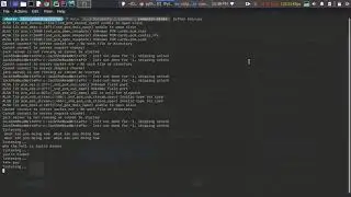 Testing Alexa Python