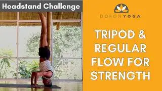 Yoga Headstand Challenge: Tripod & Classic Handstand Flow — Build Strength & Teach Confidence