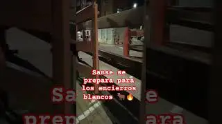 PREPARANDO LOS ENCIERROS BLANCOS 🐂🏗️ Sanse se pone a punto