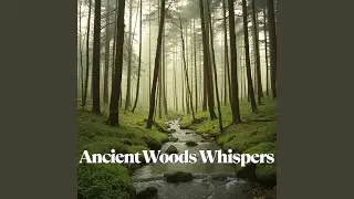 Liquid Light Meditation