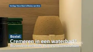 Huisdieren cremeren in water, hoe werkt dat? I Dtv Ring Den Bosch