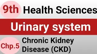Chronic Kidney Disease (CKD)📖💜 | Health Science Unit:5 Urinary System 😩 |