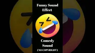Funny Sound Effect Comedy Sound (no copyright)