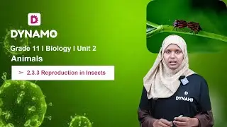 Grade 11 || Biology || Unit 2 || Animals || Part 4 || 2.3.3  Reproduction in Insects