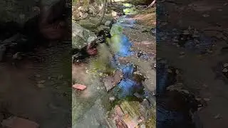 Liquid color